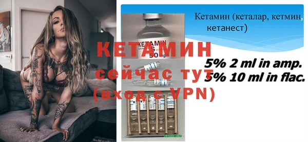 индика Инсар