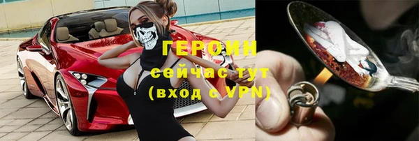 индика Инсар