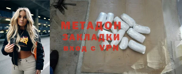 сатива Инта