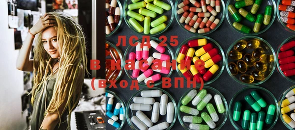 индика Инсар
