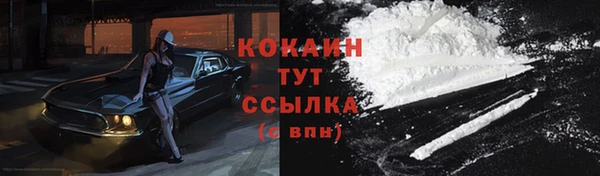 индика Инсар