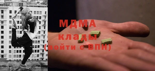 индика Инсар
