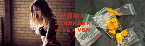 индика Инсар