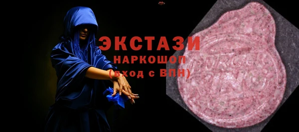 индика Инсар