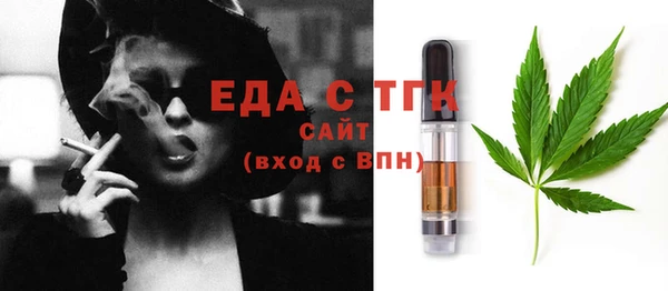 индика Инсар