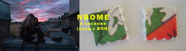 сатива Инта