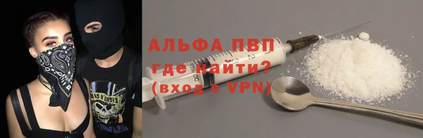 индика Инсар