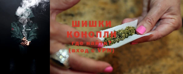 индика Инсар