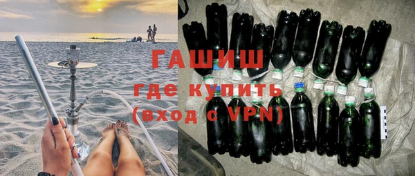сатива Инта
