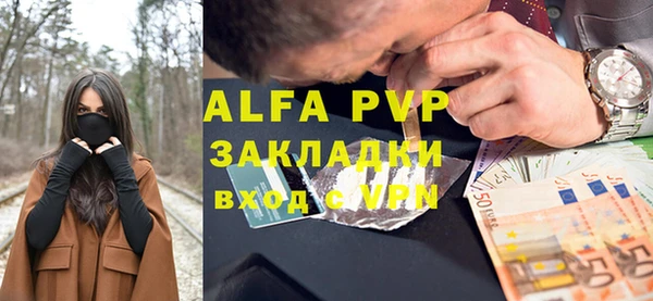 сатива Инта