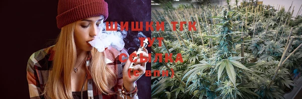 индика Инсар