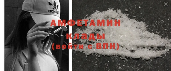 индика Инсар