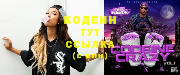сатива Инта