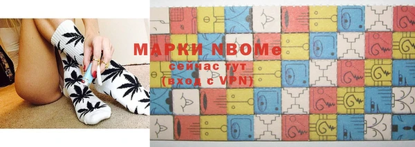 индика Инсар