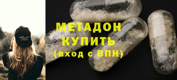 индика Инсар