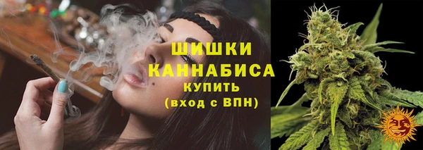 сатива Инта